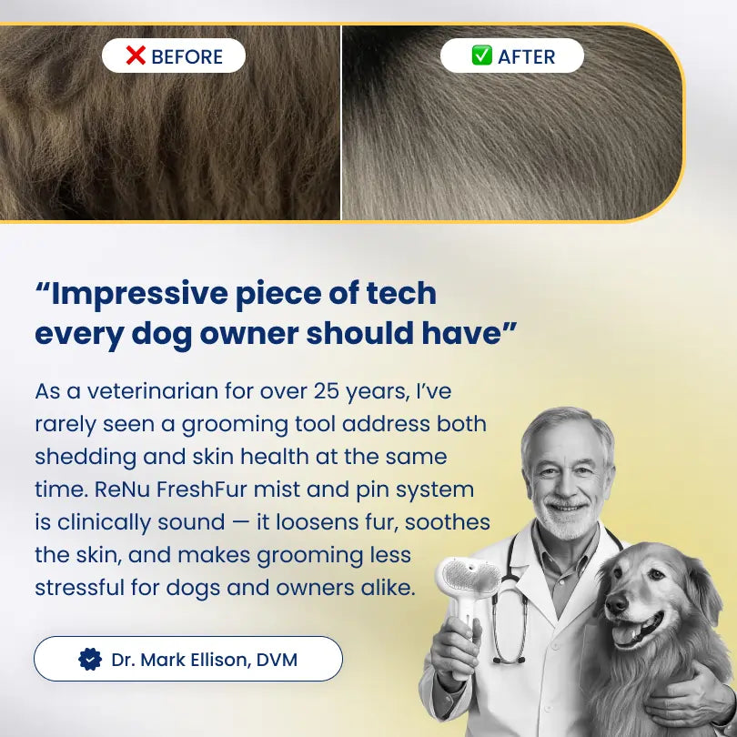 Dog Brush